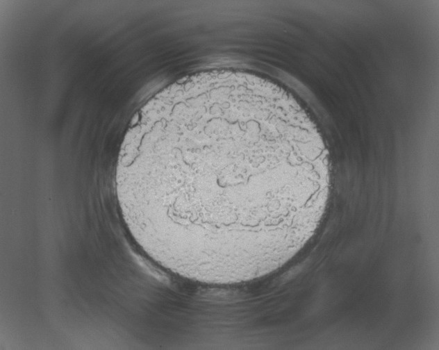 X0000080731241200701121902