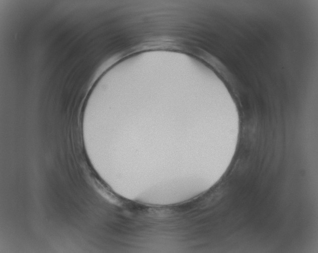 X0000080731242200701121902