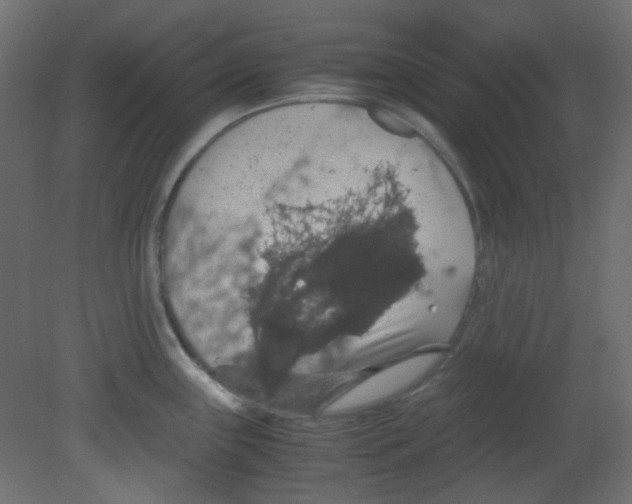 X0000080731243200701121902