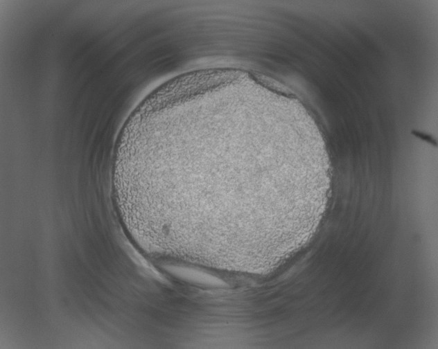 X0000080731244200701121902