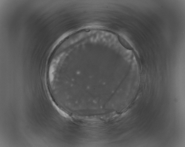 X0000080731245200701121902