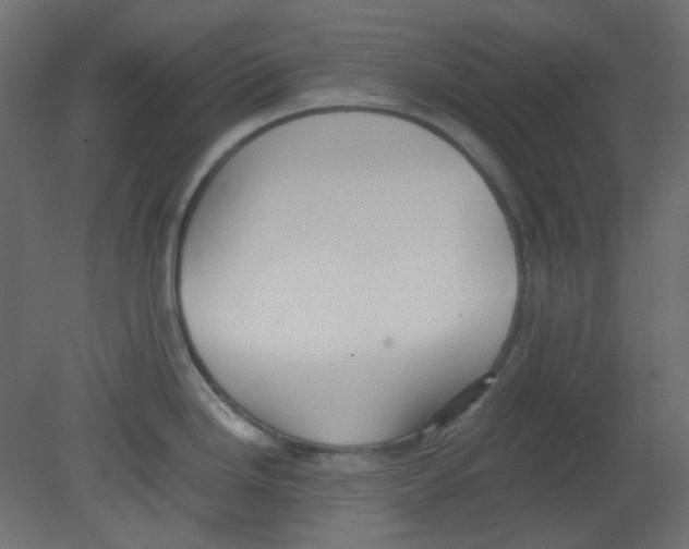 X0000080731246200701121902