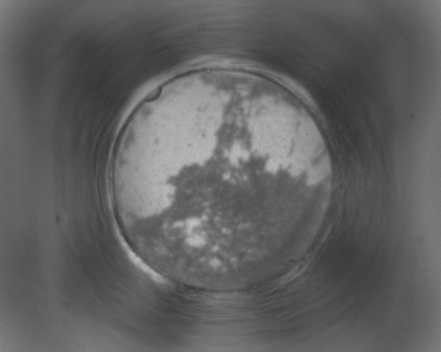 X0000080731247200701121902