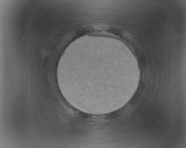 X0000080731249200701121901