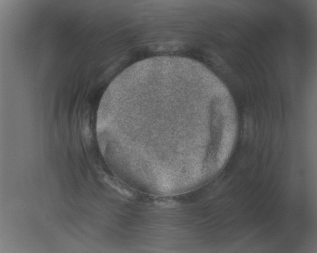 X0000080731250200701121901