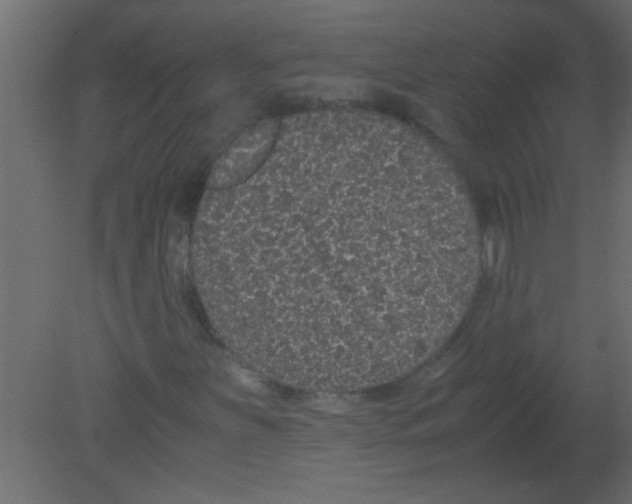 X0000080731251200701121901