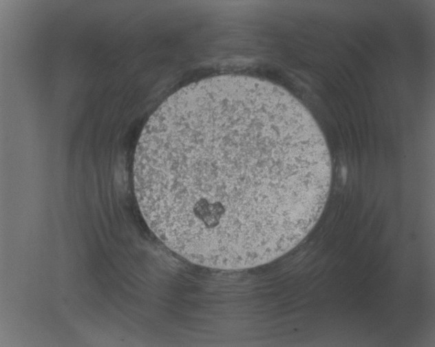 X0000080731252200701121901