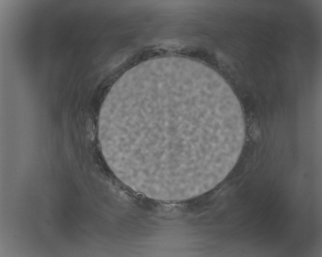 X0000080731253200701121901