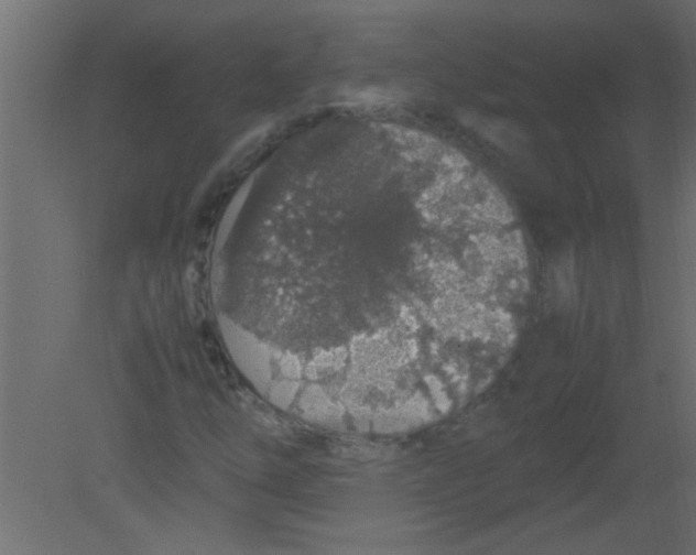 X0000080731254200701121901