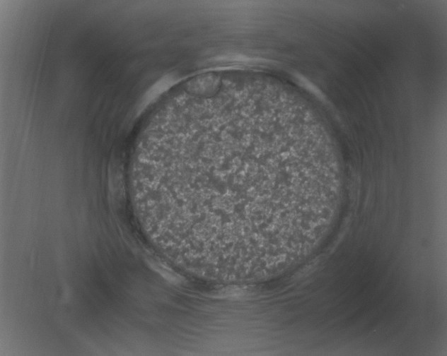 X0000080731259200701121901