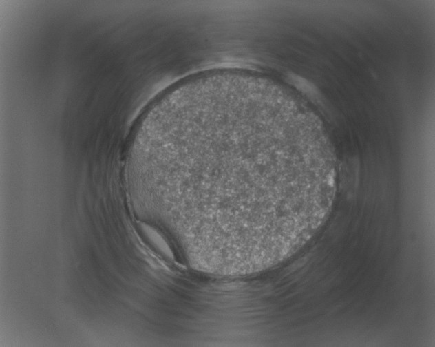 X0000080731260200701121901