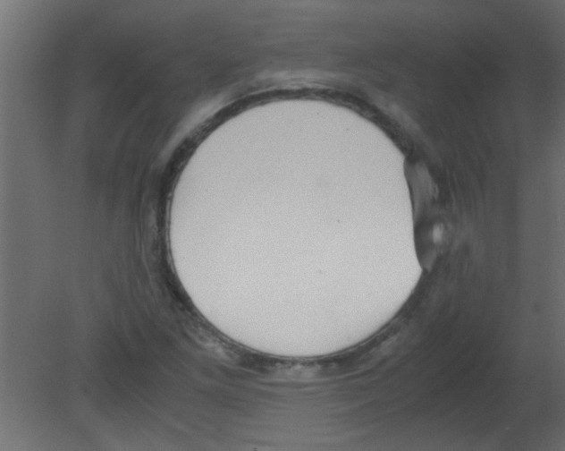 X0000080731261200701121901