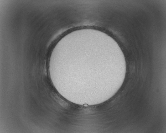 X0000080731262200701121901