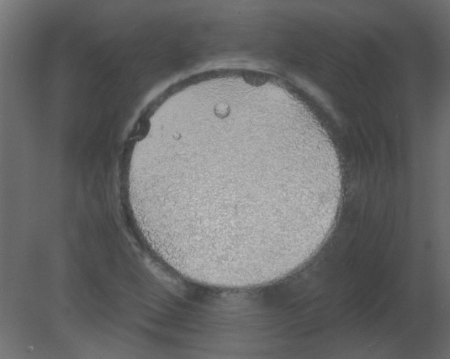 X0000080731264200701121901