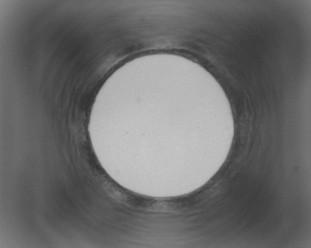 X0000080731265200701121901