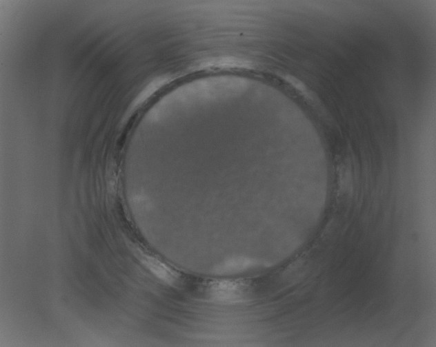 X0000080731266200701121901