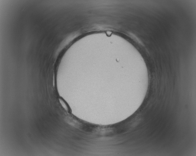 X0000080731269200701121901