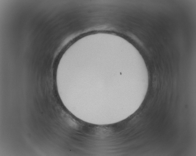 X0000080731270200701121901