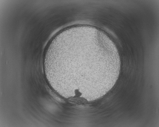 X0000080731272200701121901