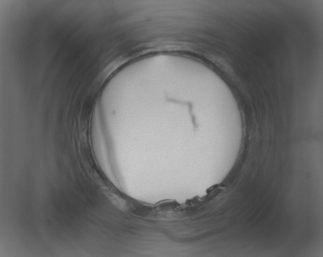 X0000080731273200701121901