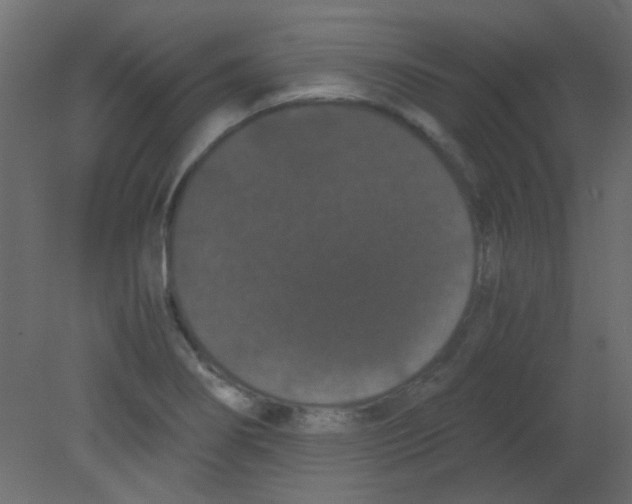 X0000080731274200701121901