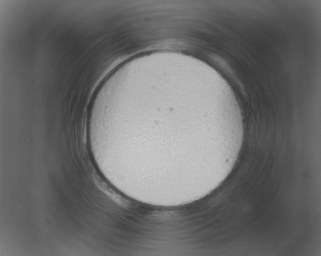 X0000080731276200701121901