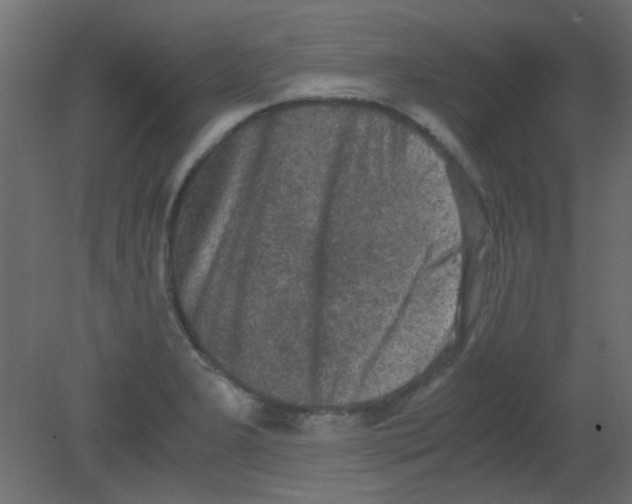 X0000080731277200701121901