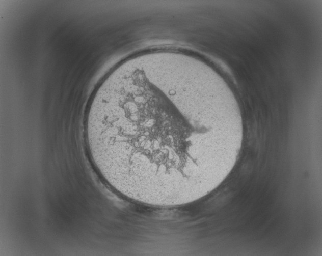 X0000080731279200701121901