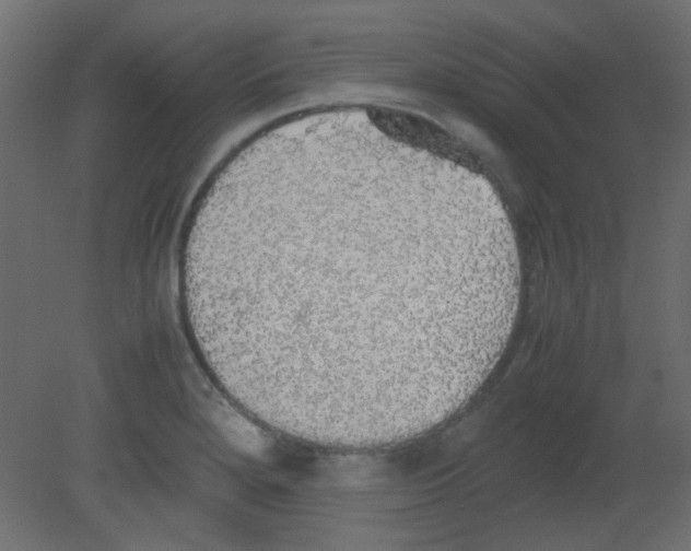 X0000080731280200701121901