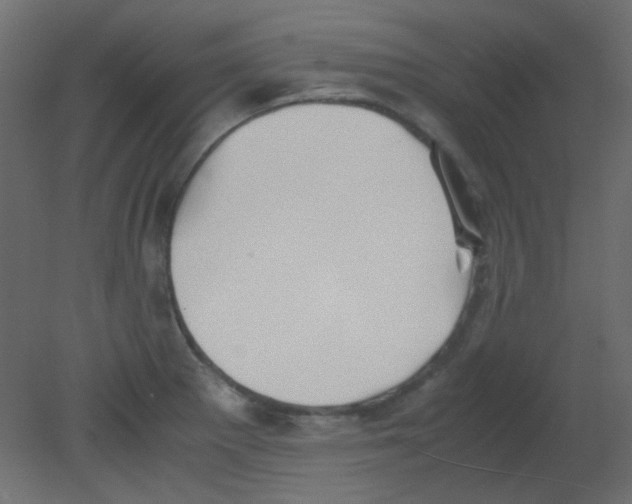 X0000080731281200701121901