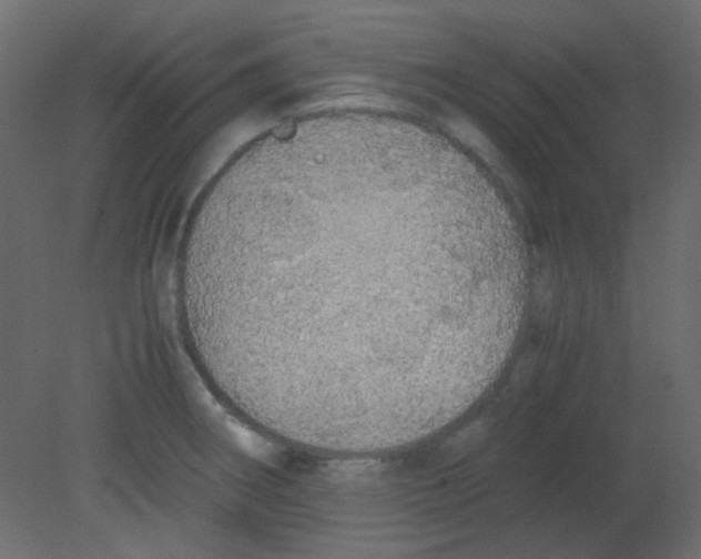 X0000080731282200701121901