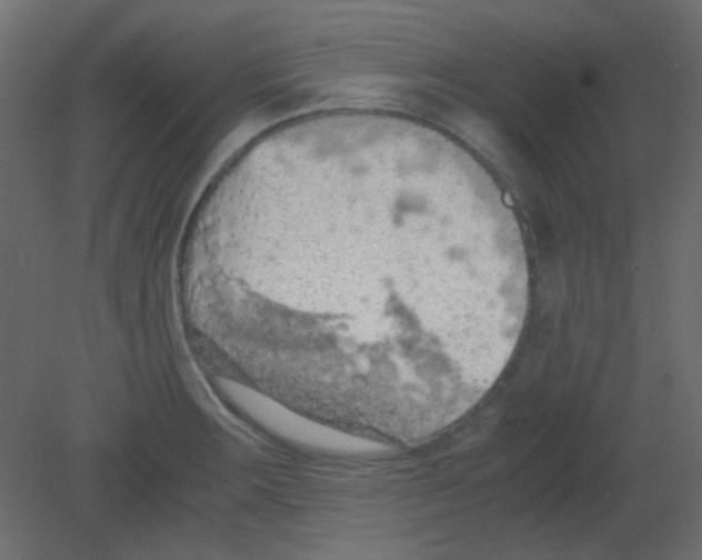 X0000080731283200701121901