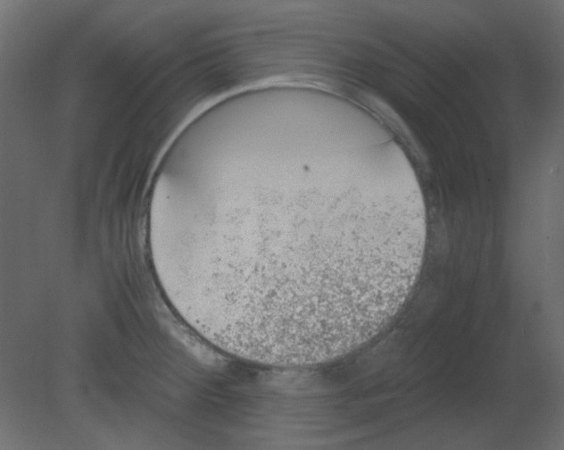 X0000080731284200701121901