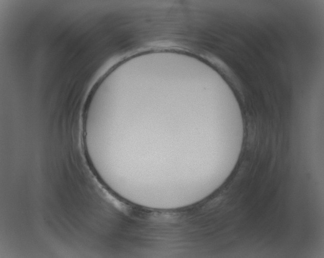 X0000080731286200701121901