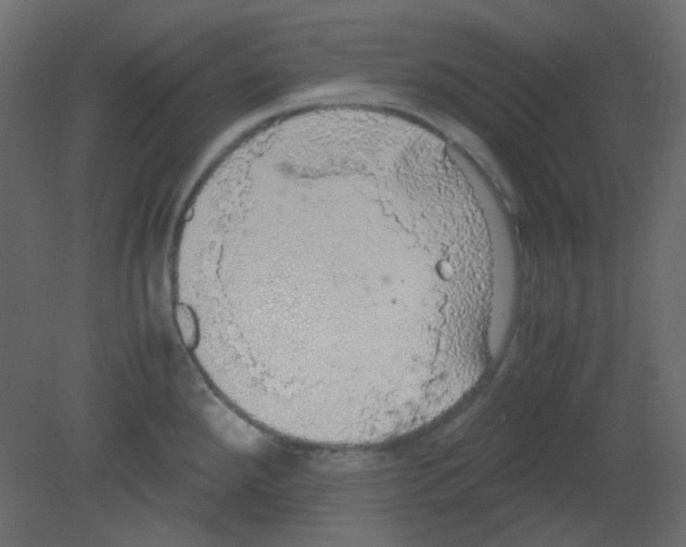 X0000080731288200701121901