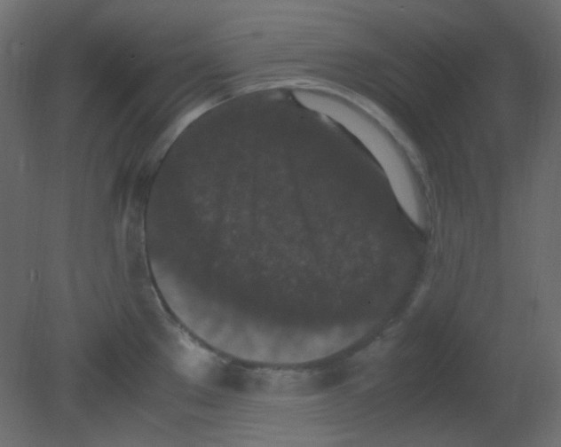 X0000080731289200701121901