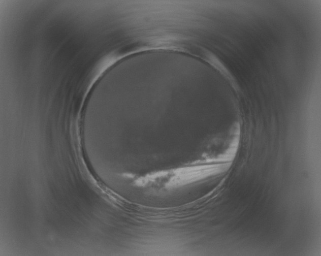 X0000080731291200701121901