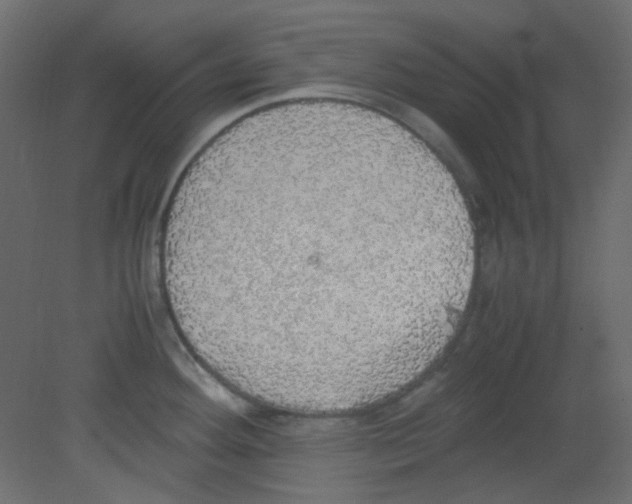 X0000080731292200701121901