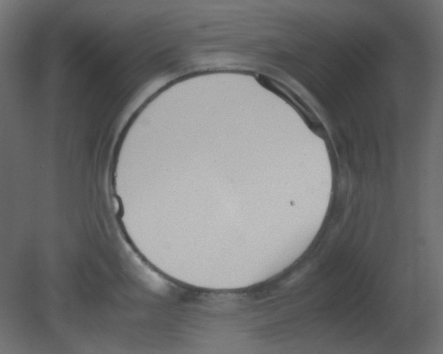 X0000080731293200701121901