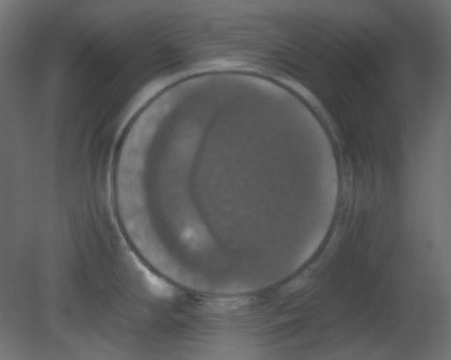 X0000080731294200701121901