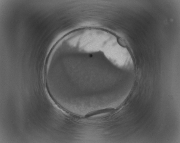 X0000080731295200701121900