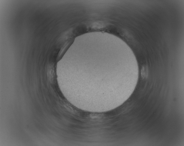 X0000080731299200701121900