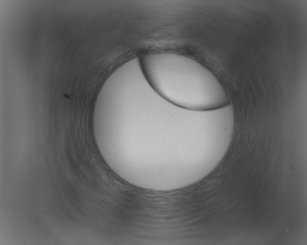 X0000080731300200701121900