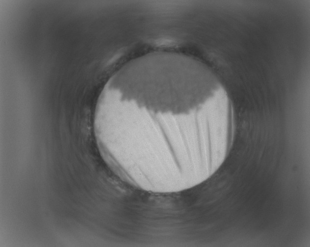 X0000080731301200701121900