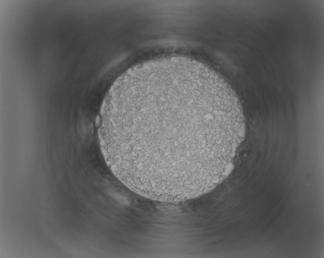 X0000080731302200701121900