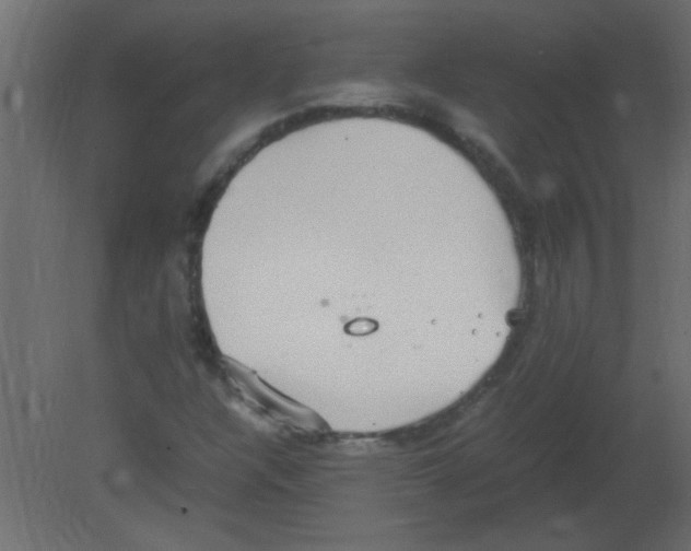 X0000080731304200701121900