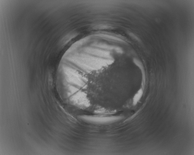 X0000080731305200701121900