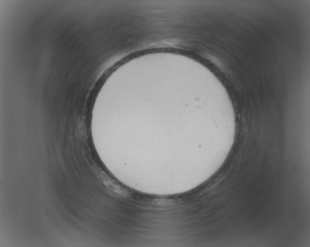 X0000080731308200701121900