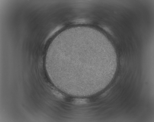 X0000080731309200701121900