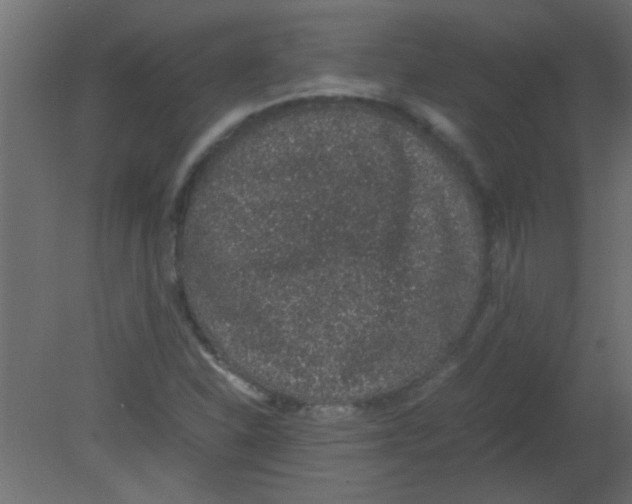 X0000080731310200701121900